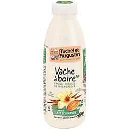 Yaourt à boire vanille Madagascar MICHEL ET AUGUSTIN : la bouteille de  500mL à Prix Carrefour