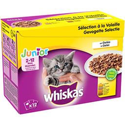 Selection A La Volaille En Gelee Pour Chat Junior Whiskas Intermarche