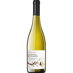 Vin blanc sec Chardonnay - IGP Cévennes - Camp Galhan - 75 cl