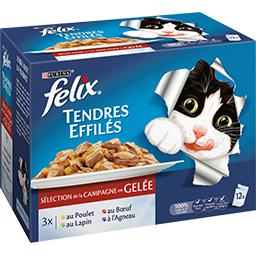 Felix Tendres Effilés en Gelée avec Légumes Sachets Fraîcheur pour Chat  Adulte 24x85g (lot de 2) 