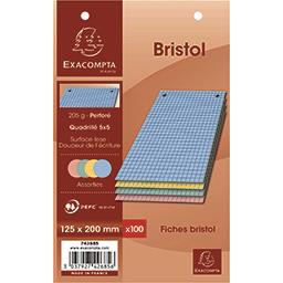 Fiches bristol couleur perforés 125x200 5x5 205 g Exacompta - Intermarché